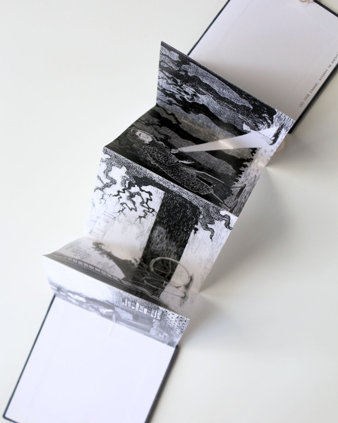 how elspeth met casper - concertina book