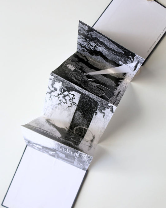 how elspeth met casper - concertina book