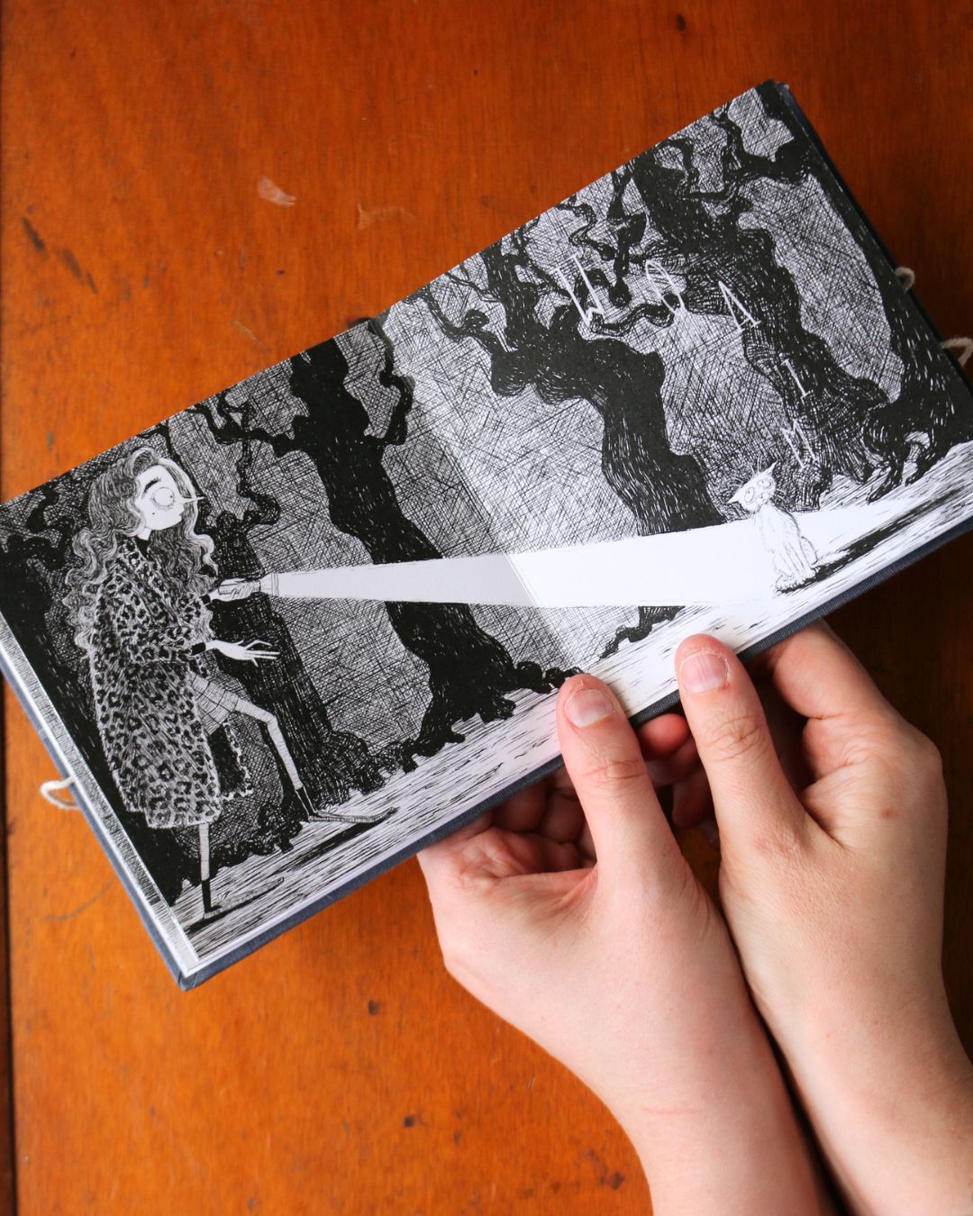 how elspeth met casper - concertina book